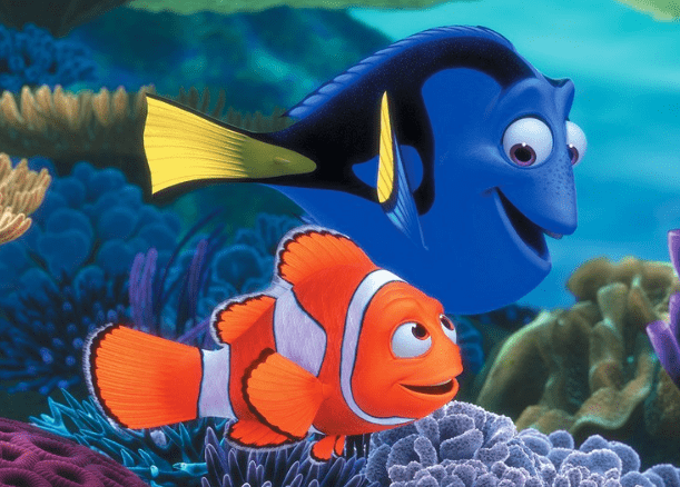 当年动画推出后,橘白色相间,学名眼斑双锯鱼的小丑鱼,随即成了全世界