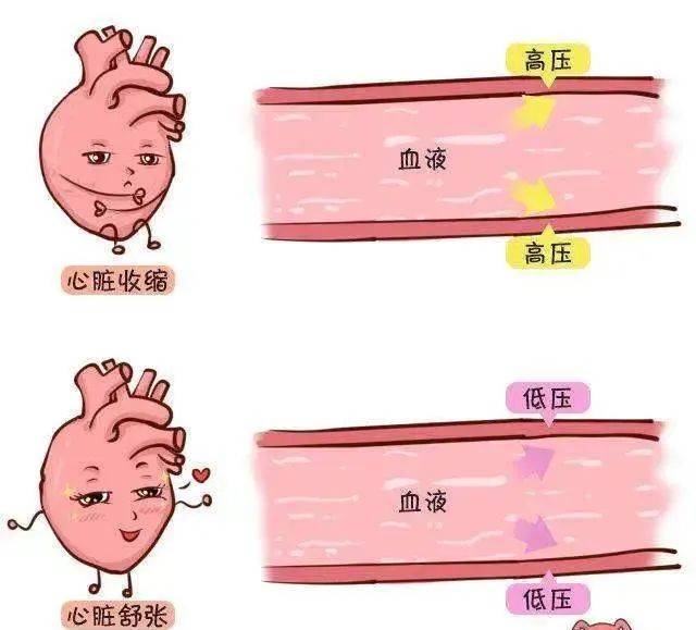 世界高血压日需要掌握关于沉默杀手的重要内容