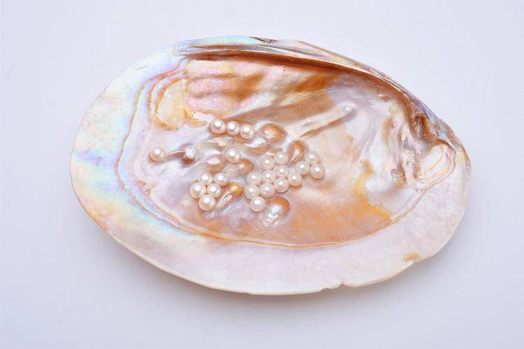 而珍珠则是一种有机宝石,主要产在珍珠贝类和珠母贝类软体动物体内,是