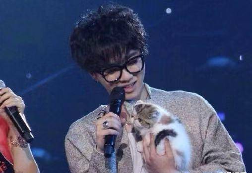 跟华晨宇疑似在一起细节曝光后张碧晨现身宠物店挑选小猫被甜到了