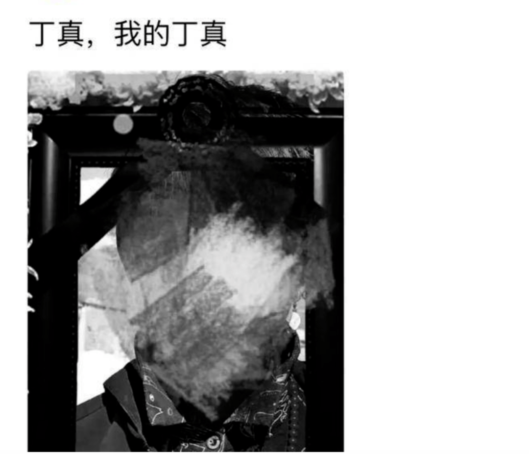 原创被嫌弃的丁真的一生