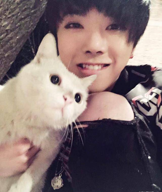 跟华晨宇疑似在一起细节曝光后张碧晨现身宠物店挑选小猫被甜到了