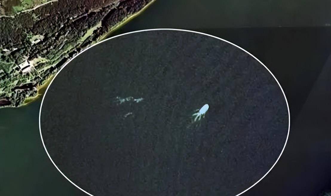 疑似“水怪”出没！新疆喀纳斯湖又拍到不明水生物，它会是什么？