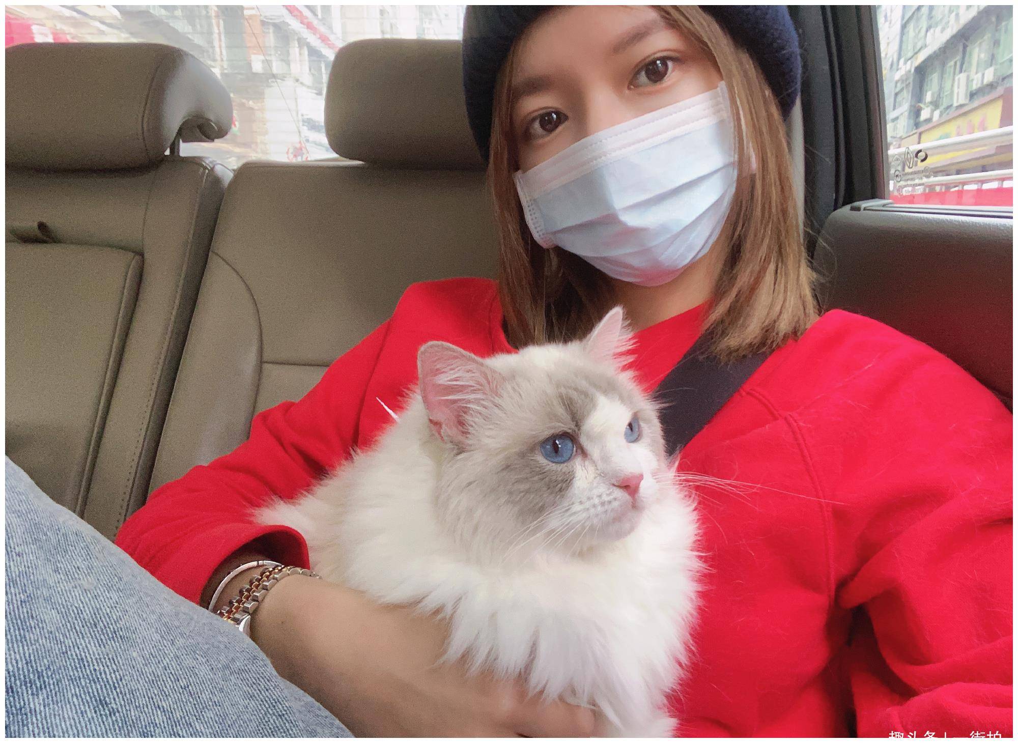 原创程潇晒与宠物猫合照与爱猫同穿豹纹衣都是傲娇小仙女