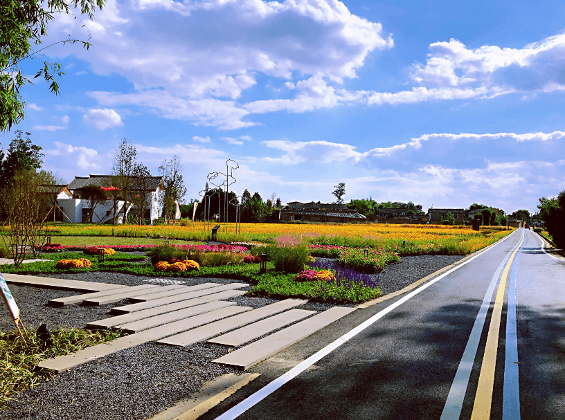 美丽乡村还不会设计乡村生产性景观快来看这篇