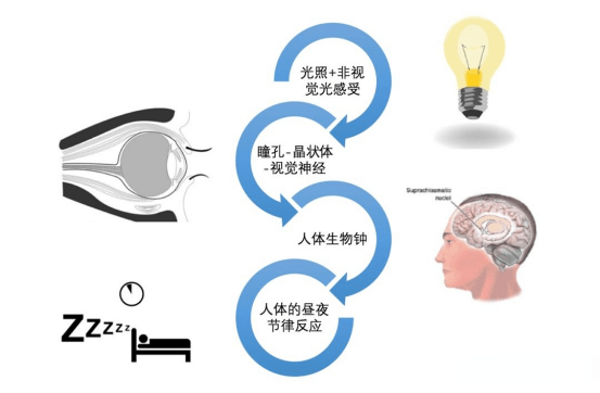 护眼台灯怎么样选择？2022年专业护眼灯品牌排行