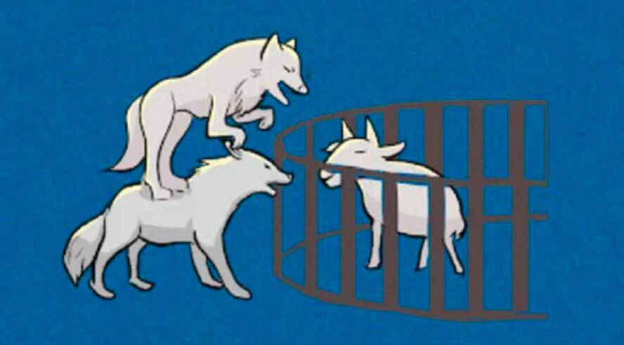 原创狼狈为奸中的狈究竟是什么生物它真的存在吗