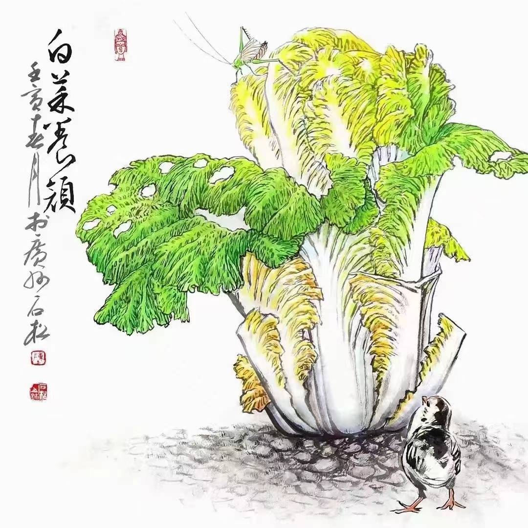 中国画白菜最厉害的人图片