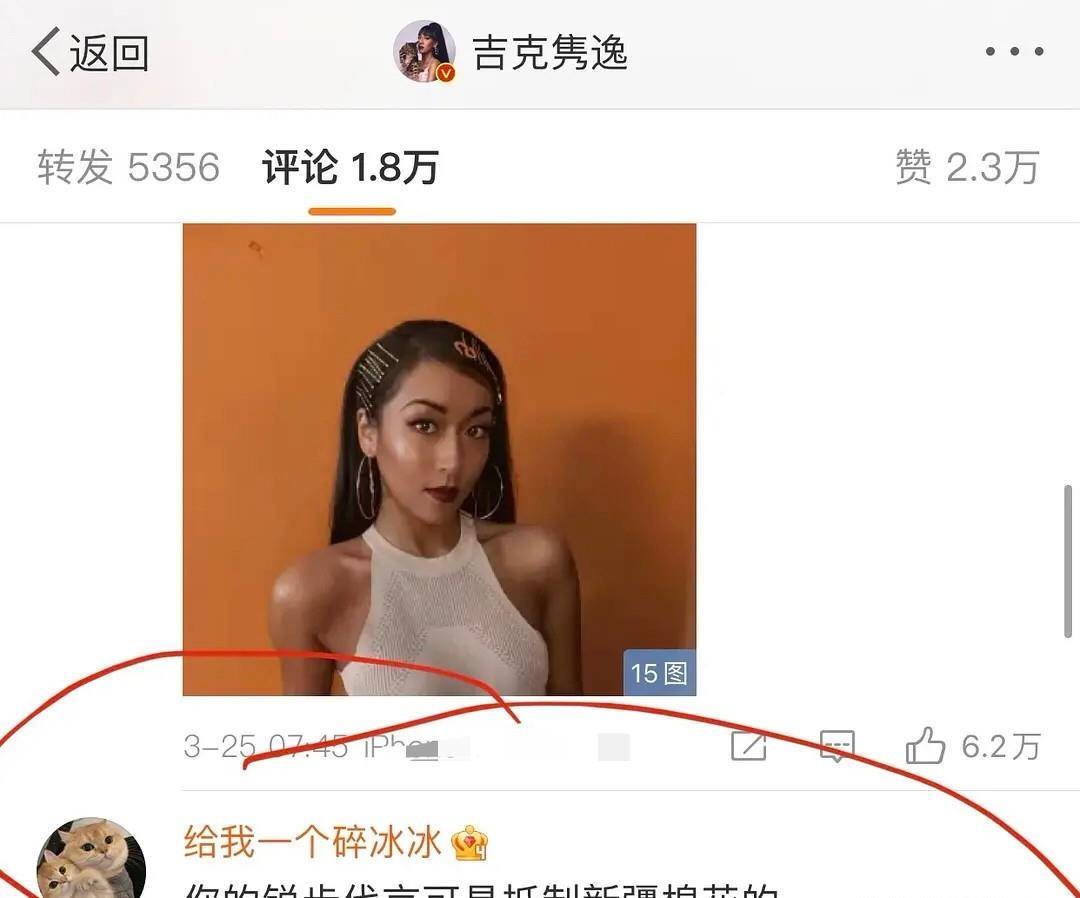 评论区中,有网友直接质问吉克隽逸"你代言的锐步可是抵制新疆棉的"