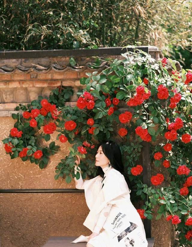 原创俞飞鸿曝光时尚杂志大片置身乡间野花之间展现淡然优雅之美