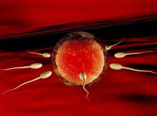 【精子活力低怎么办】精子活力低的原因_如何提高精子活力