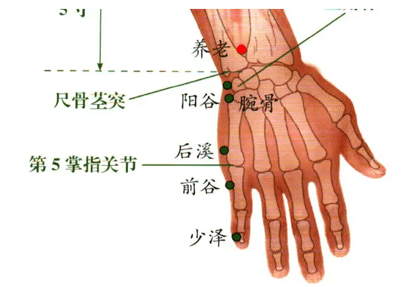 半岛体育手腕这个养老穴专治各种老年病！每天按3分钟气血通了病也跑了！必看！(图10)