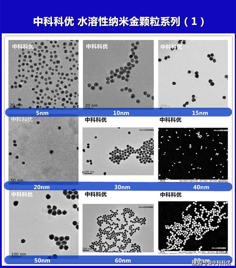 纳米金都有哪些金纳米颗粒金纳米粒子金纳米胶体等的颜色和形态