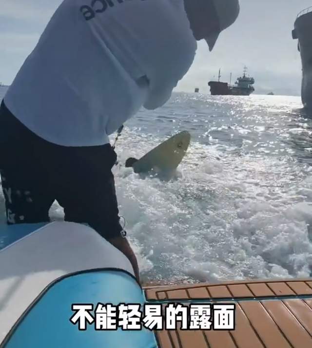 高诗岩三亚玩冲浪屡屡掉进海里喝水,比郭艾伦冲澡强一丢丢_小高_海王