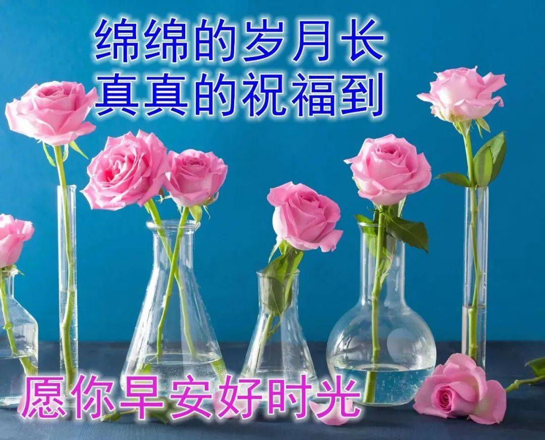 8张创意最美早上好动态图片带字和鲜花,免打字夏日早安问候语配动态