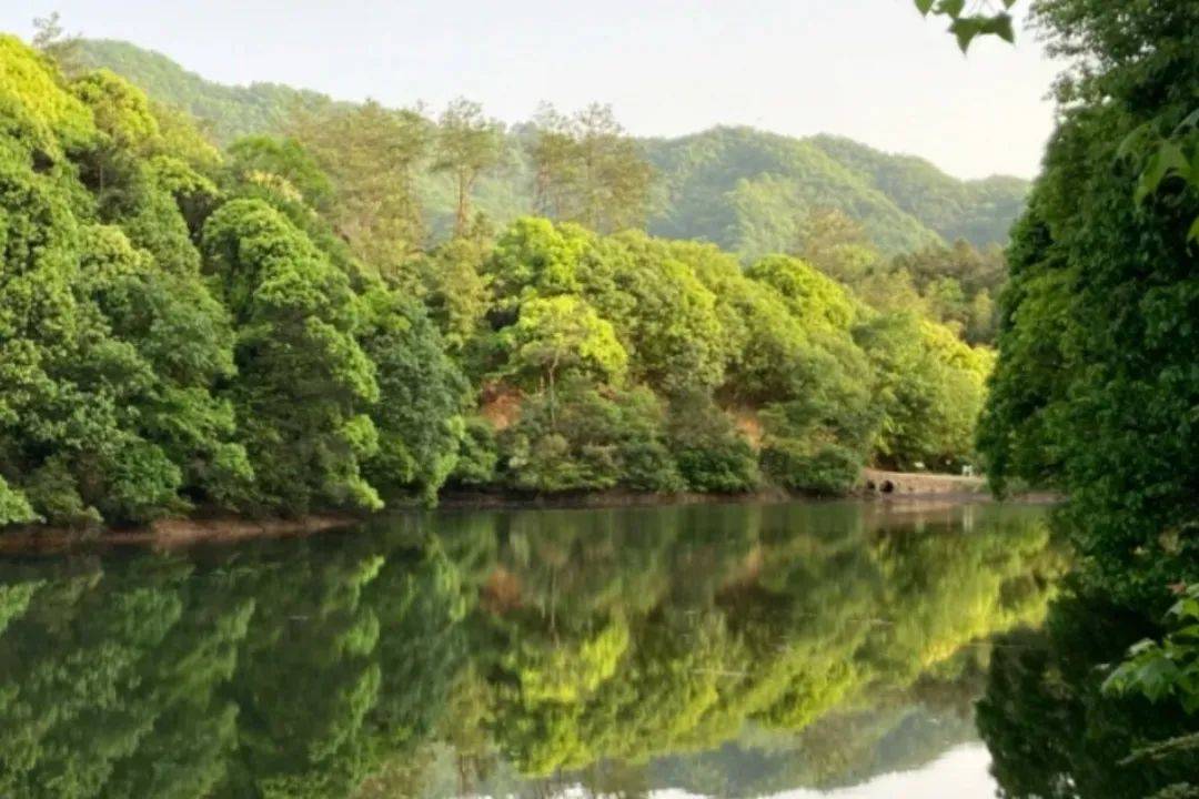 有"安徽香格里拉"之称的森林公园,绝佳避暑胜地,它竟藏在这里_景区