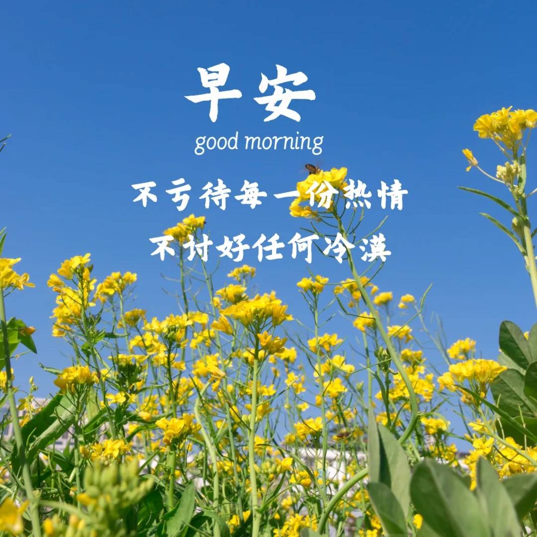 原创精美祝福图片美好祝福词句值得朋友圈发的美好祝愿