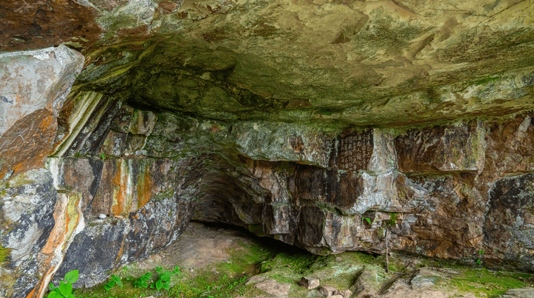 在自然的怀抱中尽情挥洒汗水苏州七子山登山步道5月26日开放