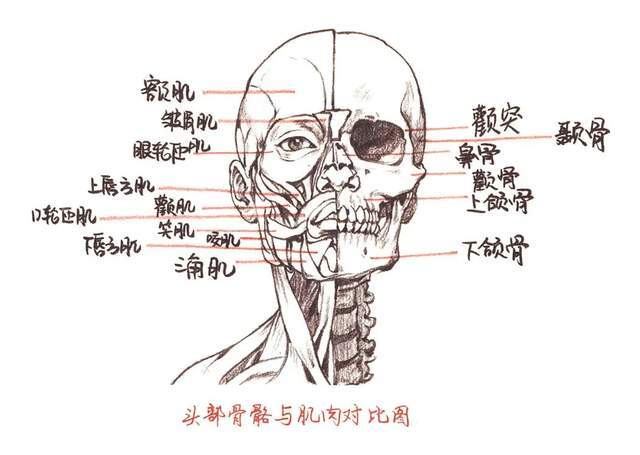 考研速写入门基础