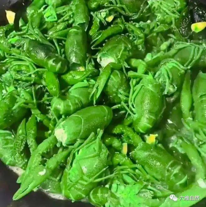 原创深圳一网友炒出绿色的小龙虾有人担心吃了会中毒结果是想太多