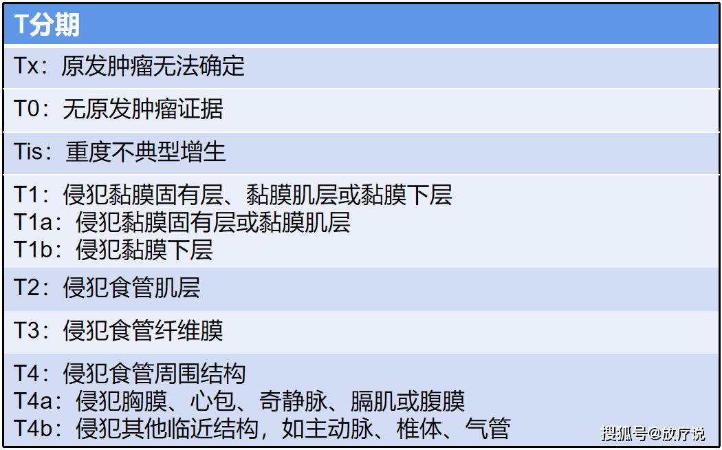 食管癌的分段淋巴結分組與tnm分期今天它來了