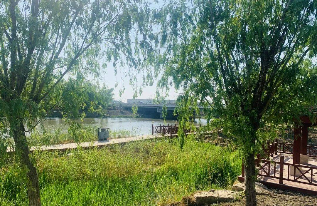 串场河滨河路工程上冈段月底建成_建设_游园_景观