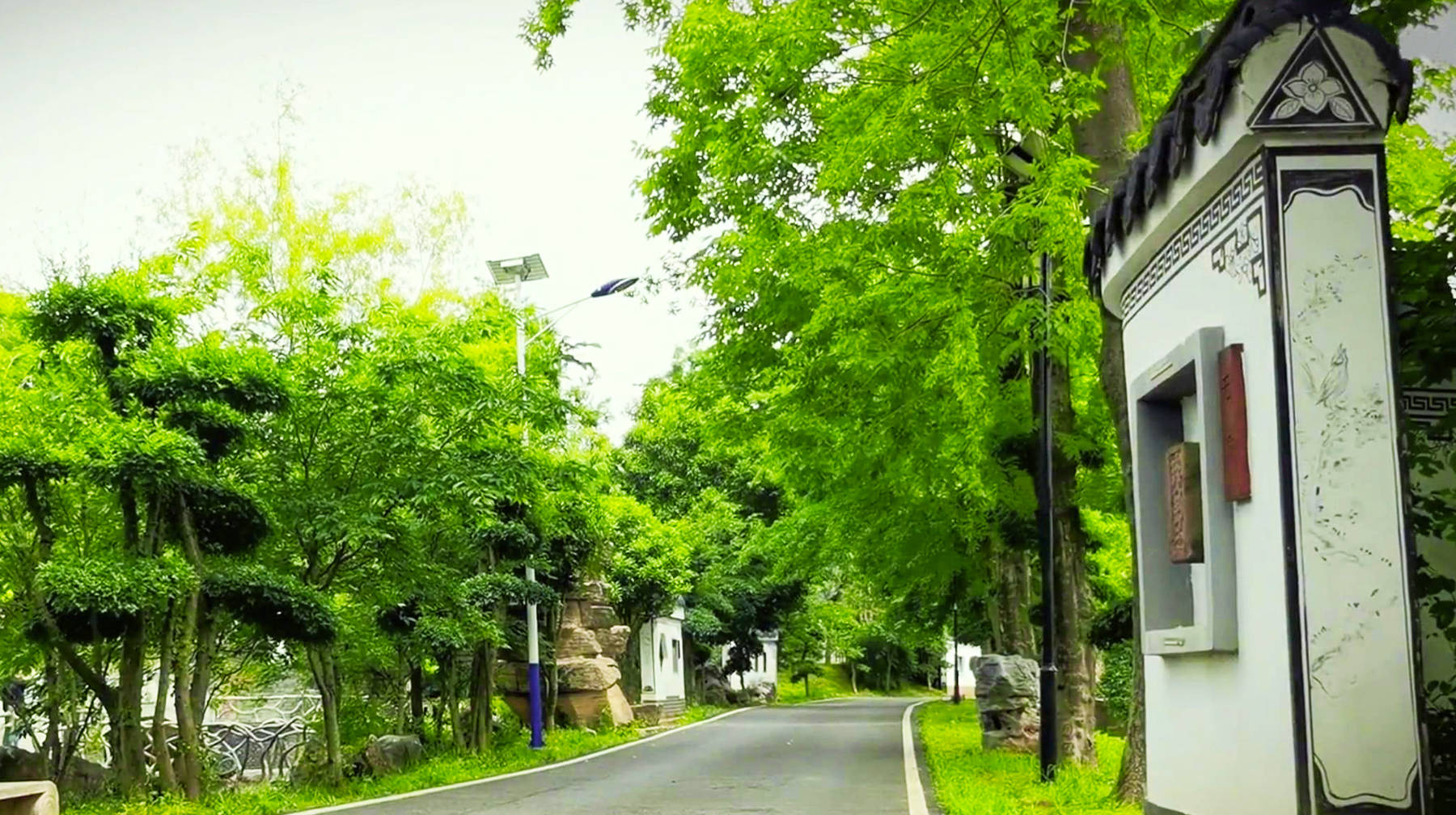 原创在武汉郊区发现一座古典园林酷似江南水乡意境随拍风光美如画