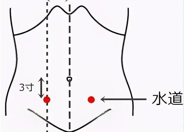 腰带越长寿命越短多艾灸志室穴让腰瘦下来