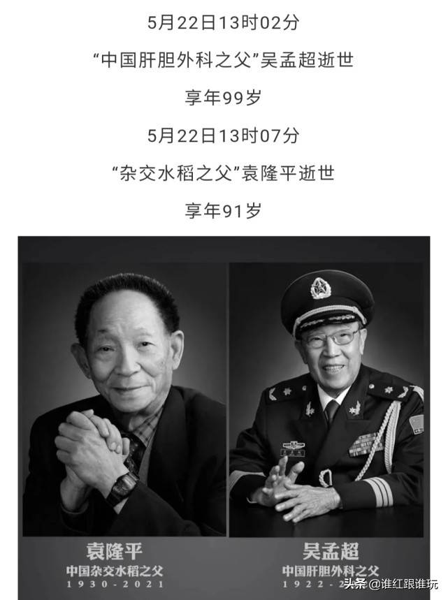 中国肝胆外科之父吴孟超,以及我们从小就在课本上看到过的中国杂交