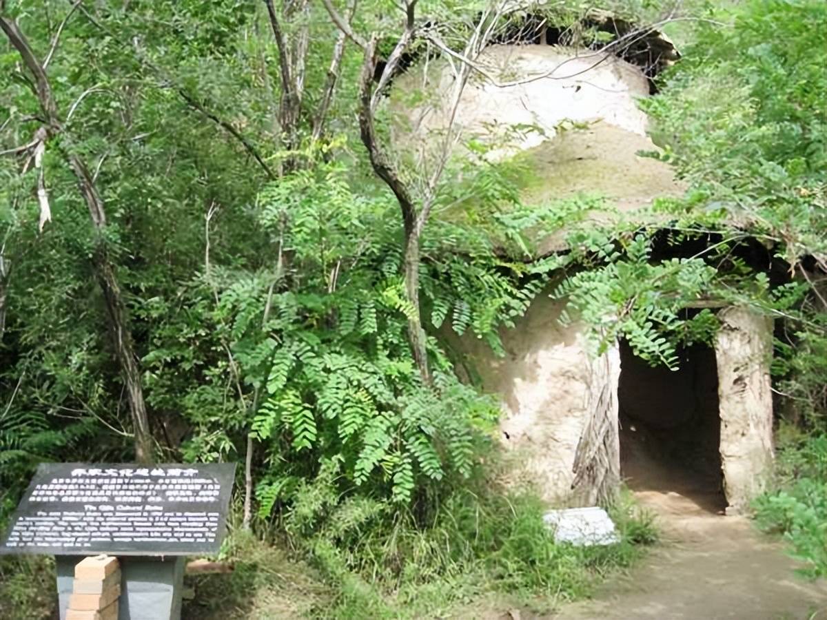 原创
齐家遗址出土一件文物,证明黄帝见西王母,室内有十面铜镜是真事