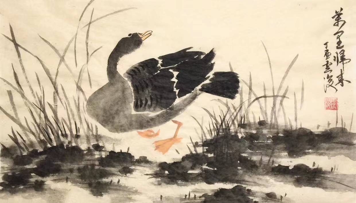 画家王雁的芦雁作品赏鉴