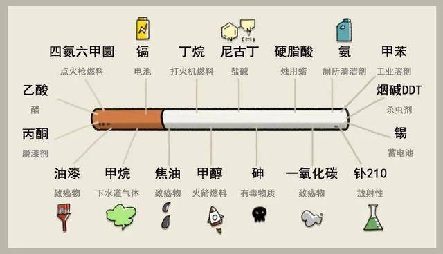 英国烟草公司对48只猎犬做实验,三年每天抽100根_香烟_危害_狗狗