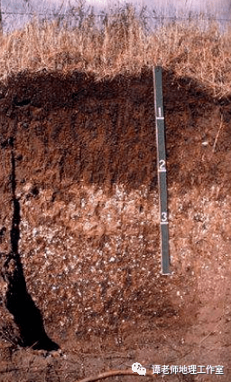 黑垆土陕西北部,宁夏南部,甘肃东部等黄土高原上土壤侵蚀较轻,地形较