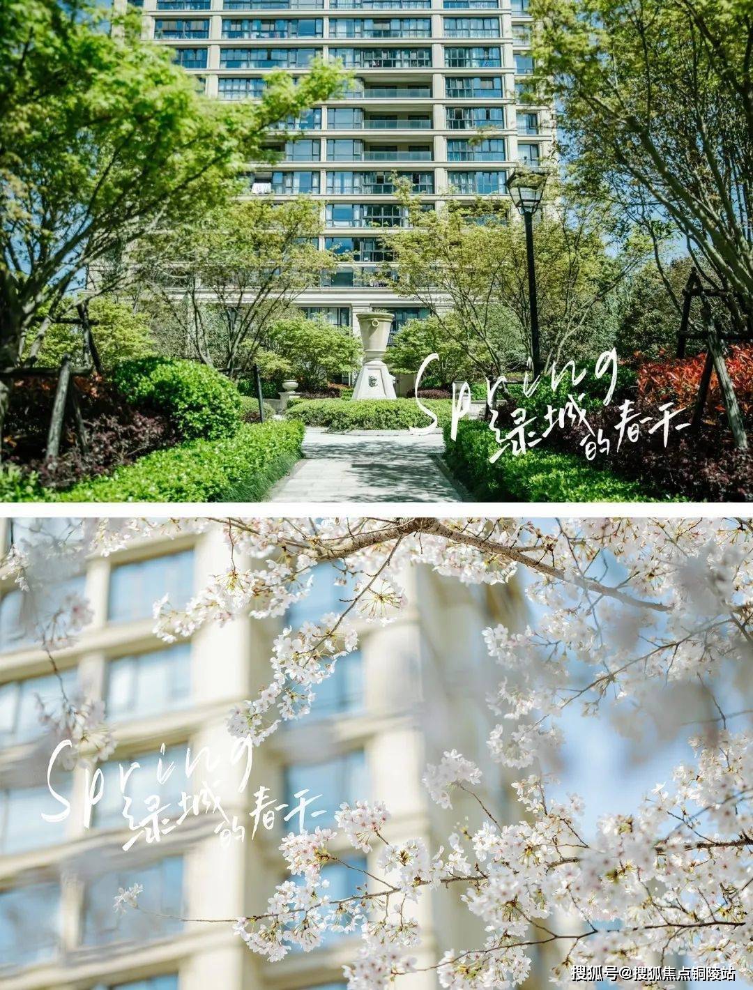 【官网】绿城金茂春澜璟园售楼处电话_春澜璟园售楼中心_24小时电话