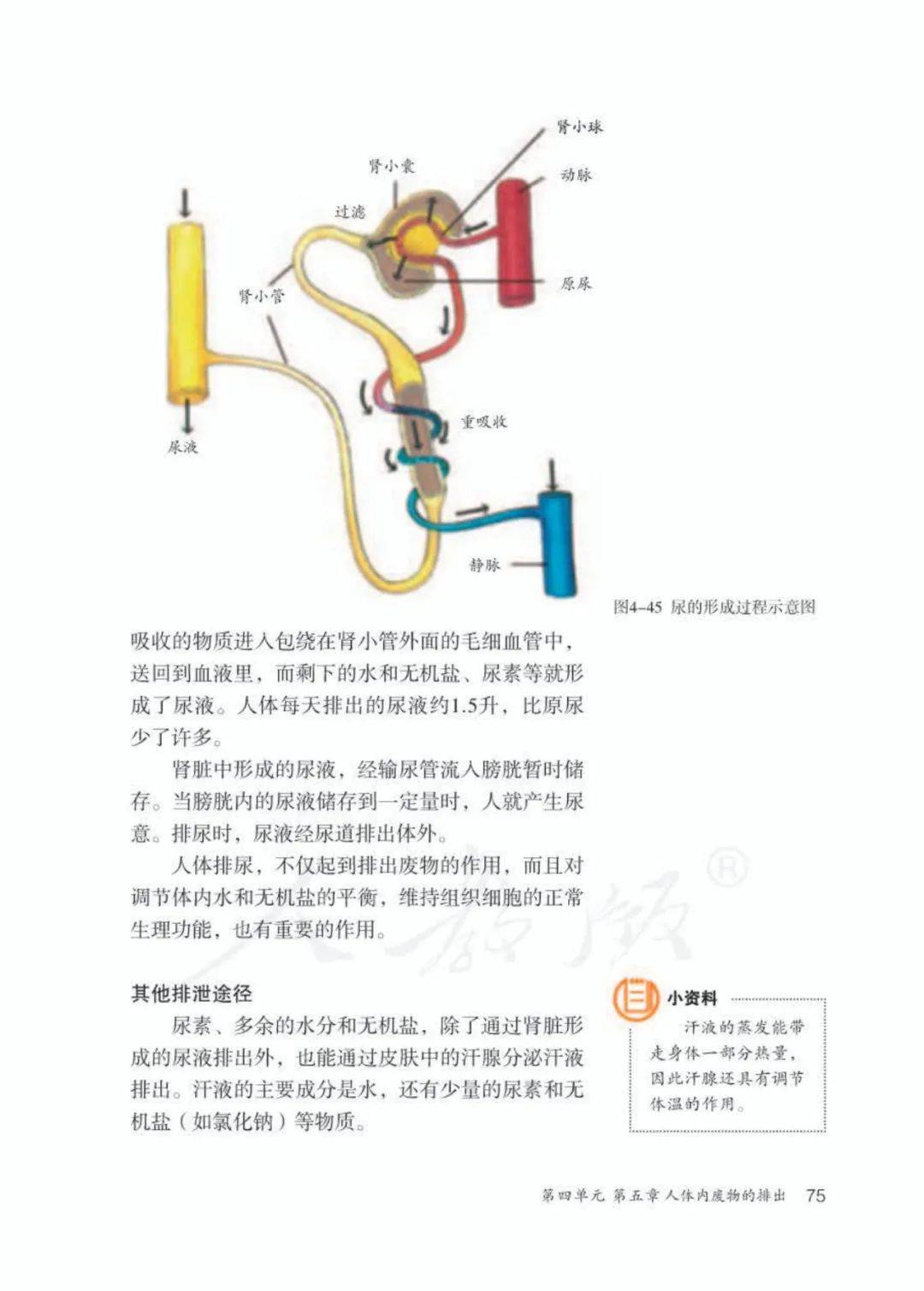 人教版七年级下册生物电子课本教材(高清pdf版)_资源_初中_商业行为