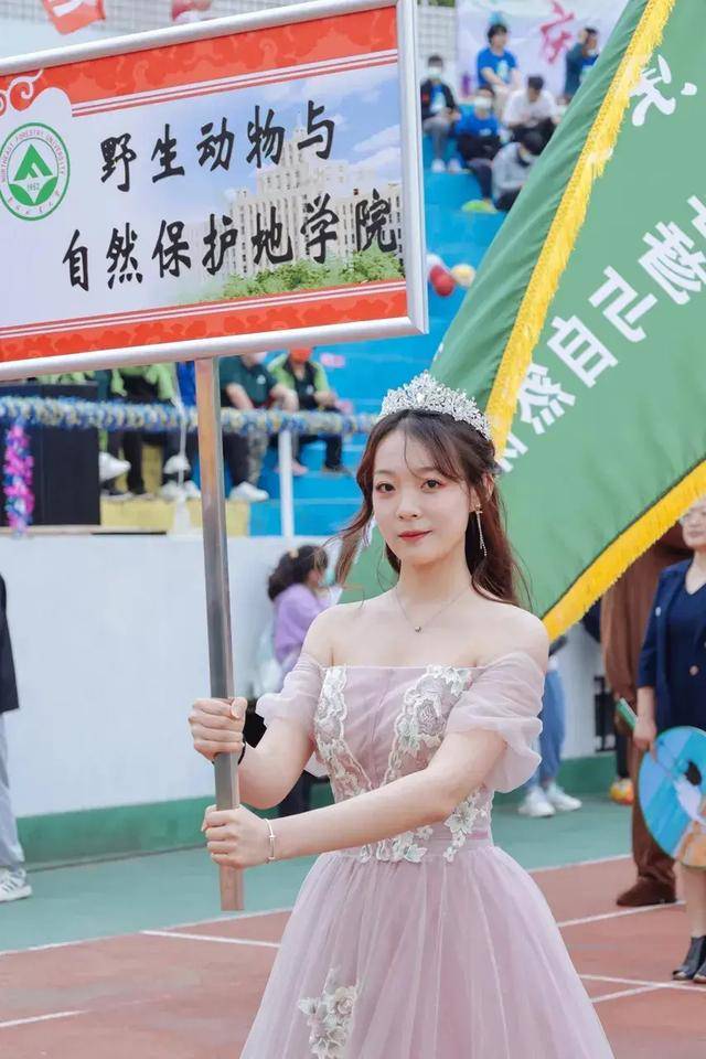 原创东北林业大学田径暨阳光体育运动会美女如云啊