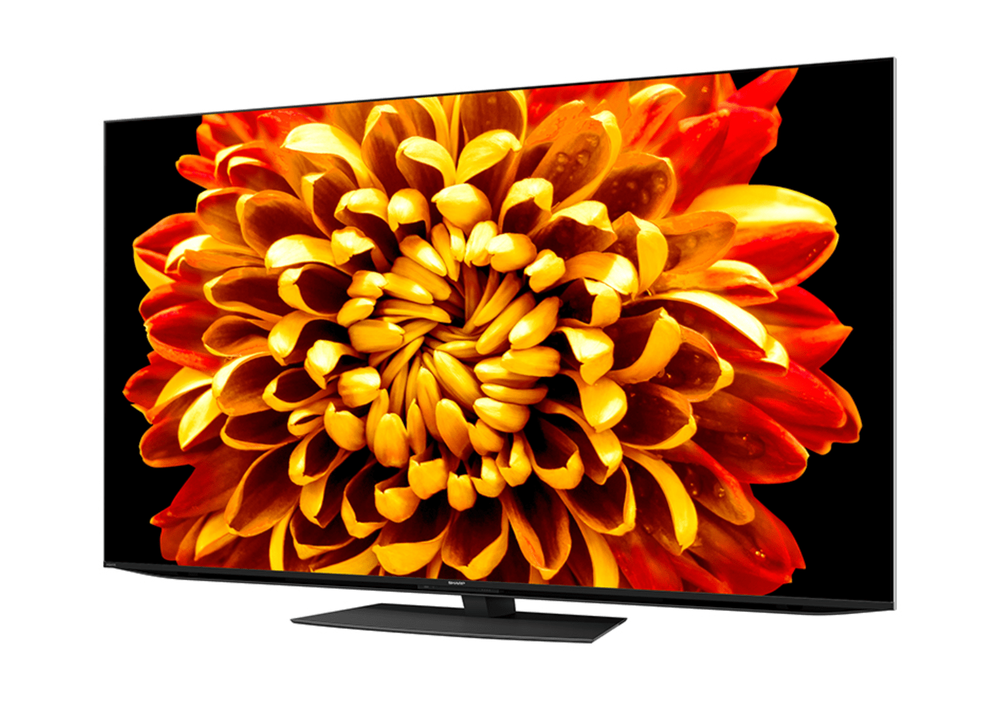 原创夏普电视王者归来aquosminiled电视开卖规格大杀四方