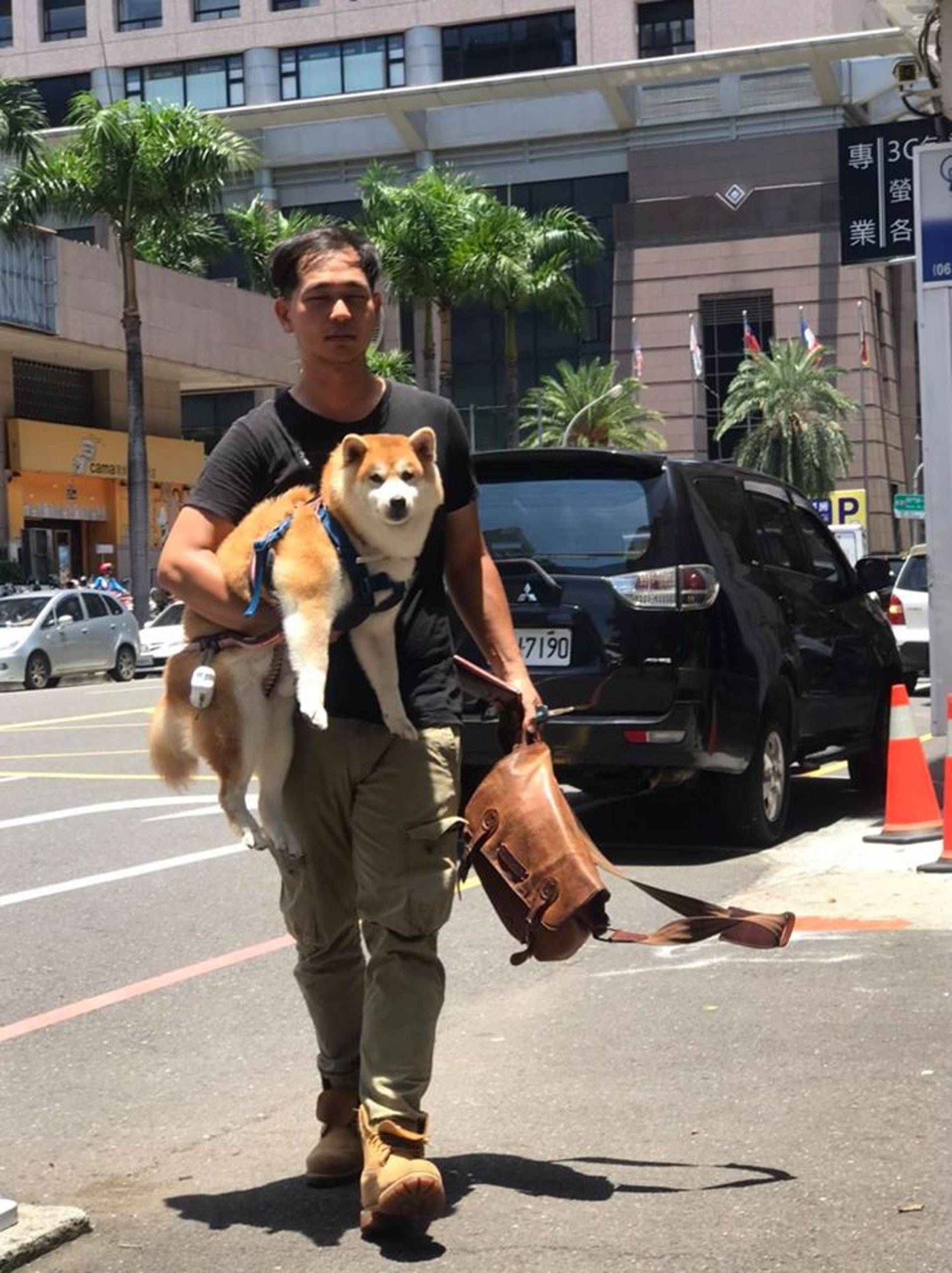 烈日下主人坚持单手抱30斤狗狗,太爱它怕它受伤了_钱钱_地面_什么