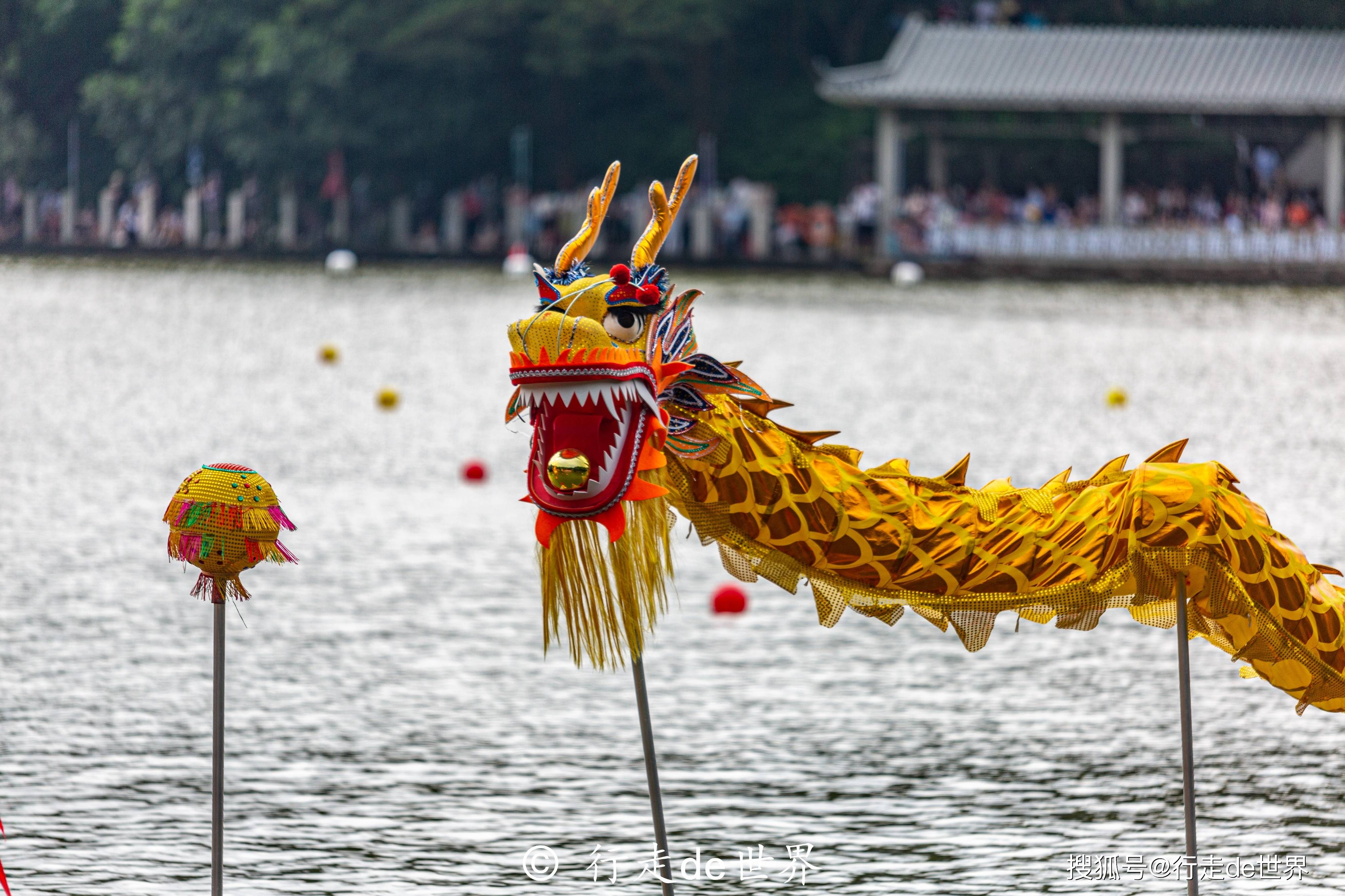 端午佳节除了吃粽子佛山半山扒龙舟你见过吗
