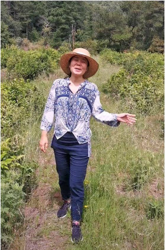 原创忐忑原唱龚琳娜近况曝光扮成村妇唱山歌混血儿子太接地气