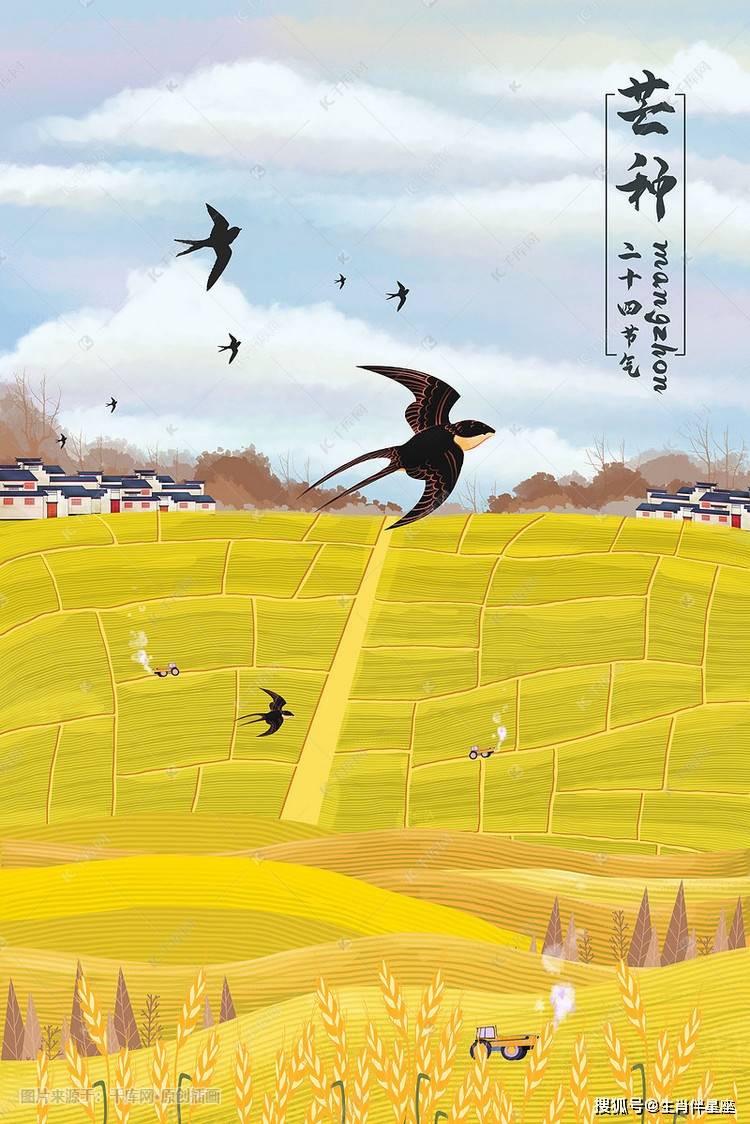 芒种的诗句古诗 芒种古诗词大全_洪亮吉_伊犁_节气