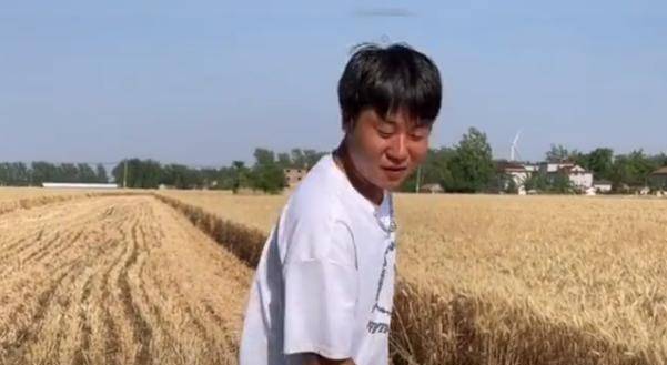 网友纷纷点赞_洪涛_收割机_问题