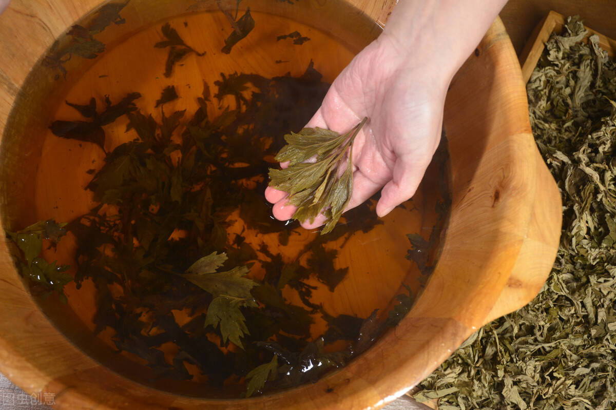 具有驱蚊虫,抗菌消炎,消肿止痛等作用,人们常用艾草来洗头,护肤等