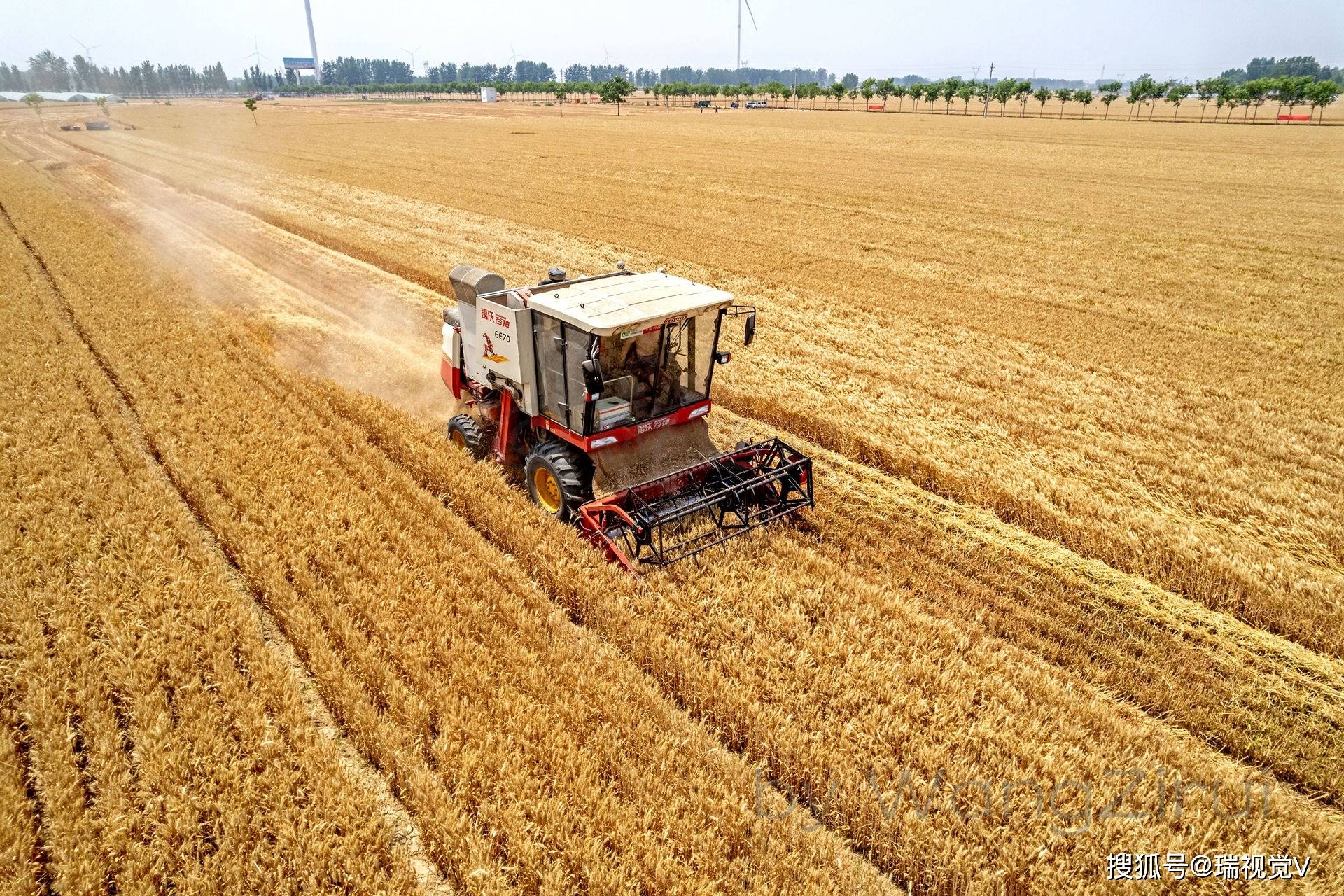 2万亩小麦喜获丰收,"开镰"收割了!_河南省_农田_白马坡