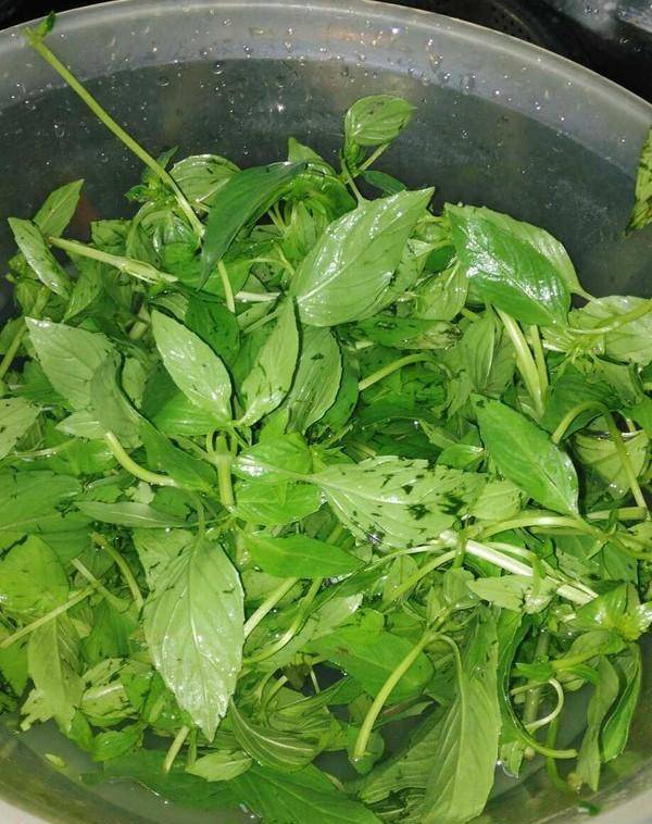 原创炒田螺时大厨教你加上它田螺香辣又好吃早知早受益