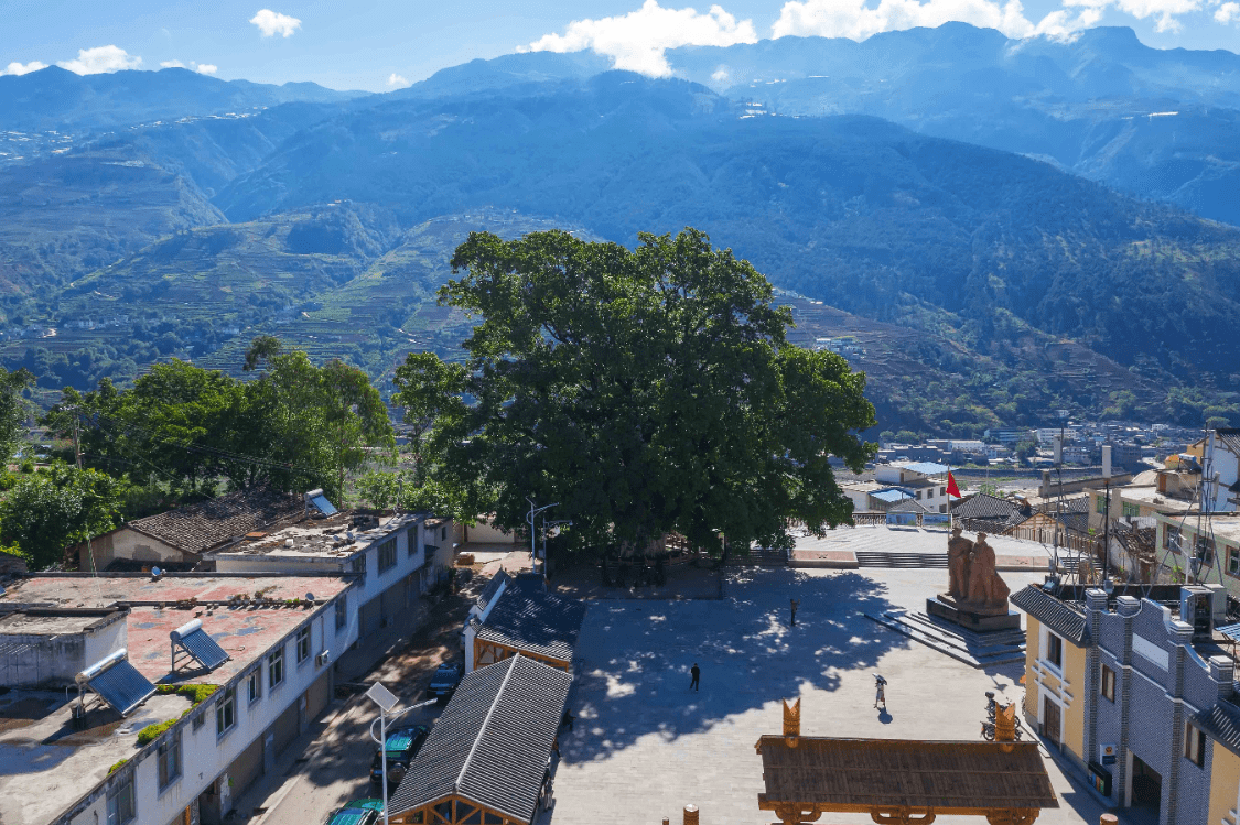 红军树村:时光穿越70年 88岁老奶奶的绝代芳华 摇曳在凉山深处_普格