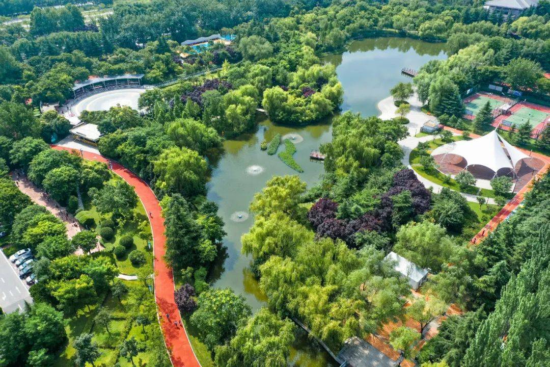 绿色生态中的运动空间运动公园立体绿化智慧解决方案