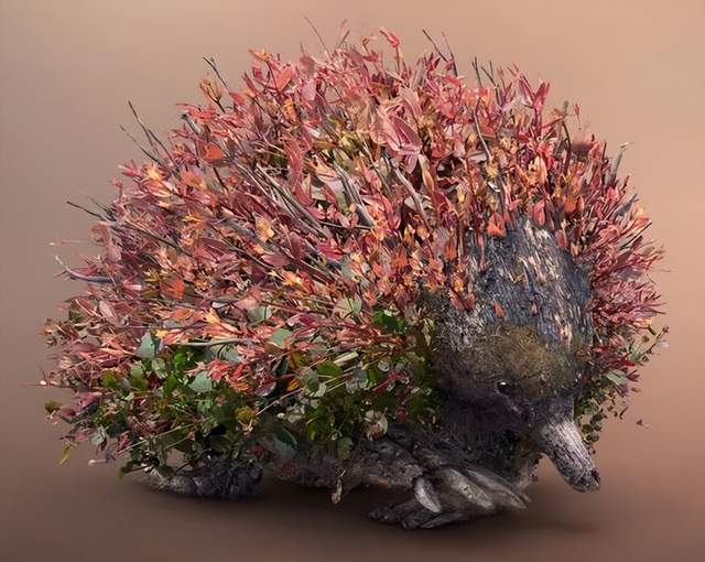 18个自然与创意的画作精美绝伦