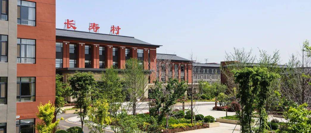 阳谷伏城医养结合大健康产业园一期工程项目喜获2021年山东省工程建设