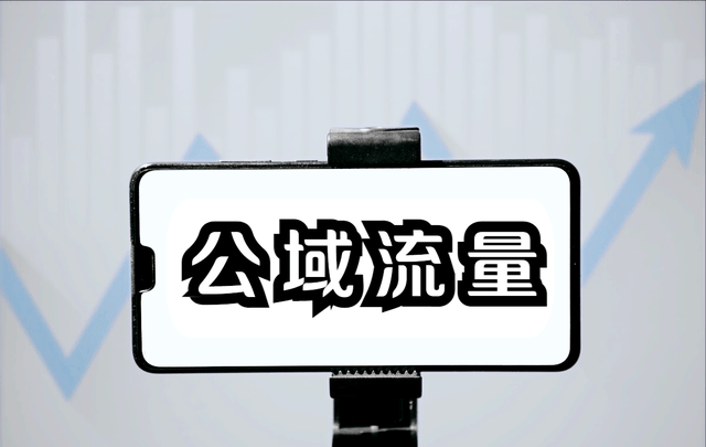 什么是公域流量?如何转换为私域?_平台_营销_淘宝